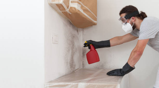 Professional Mold Inspection And Testing technician working in Lakehurst, NJ